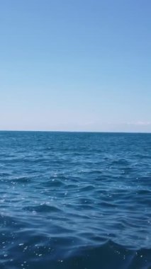 İnsansız hava aracı deniz dalgasında kayakçıları vuruyor. Stok görüntüleri. Doğadaki spor aktiviteleri, teknede kürek çekmek..