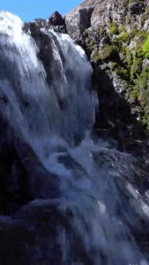 Kristal berrak suyu olan küçük bir dağ nehri şelalesi. Görüntü. Su taşların üzerinden akıyor. Sabah güneşi. Doğa fırını.