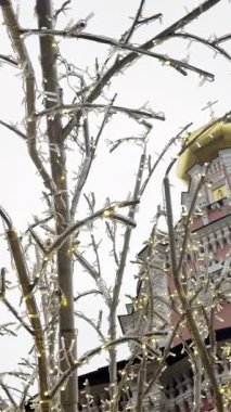 Moskova, Rusya 'daki Novodevichy manastırı çan kulesinin önündeki çıplak ağaç dallarını süsleyen Noel ışıkları