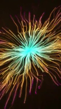 Canlı renkler ve şablonlarla geceyi aydınlatan nefes kesici havai fişek gösterisine tanık olun. Kutlamalar için büyülü bir atmosfer yaratıyor.