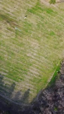 Yeşil tarlalar ve sık ormanlık alanlar, doğa güzelliğini gözler önüne seriyor. Medya