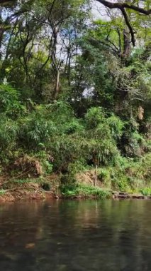 Huzurlu ve sakin bir nehir manzarası çevredeki canlı bitki örtüsü ve huzurlu suları gözler önüne seriyor. Medya