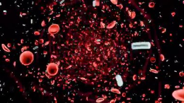 Kırmızı kan hücrelerinin hareket halindeki kan akışının görsel temsili dolaşım sistemini gösteriyor..