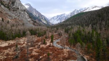 Karlı dağların ve yemyeşil ormanların arasına kurulmuş, el değmemiş bir nehrin nefes kesen manzarası. Medya