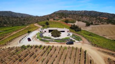 Büyüleyici hava görüntüleri, geniş üzüm bağları ve yuvarlanan tepelerle çevrili modern bir binayı gözler önüne seriyor.
