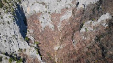 Güneşli bir günde çıplak ağaçlarla ve dipte küçük bir dereyle Rocky kanyonu duvarları. Medya