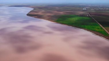 İnanılmaz bir hava manzarası, pembe bir tuz gölünün yeşil ve kahverengi bir tarımsal kıyı şeridiyle buluştuğunu gösteriyor. Medya