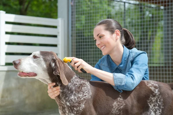 動物の避難所で女性獣医なでる犬 — ストック写真