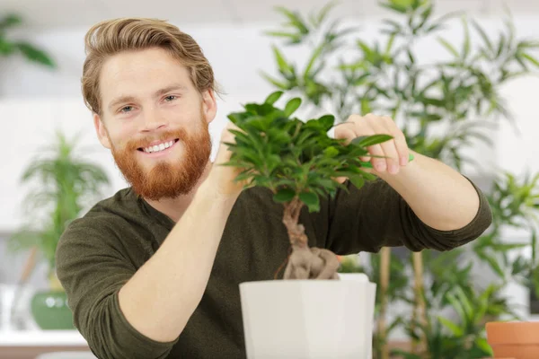 Szczęśliwy Człowiek Tworzy Koronę Małego Ozdobnego Drzewa Bonsai — Zdjęcie stockowe