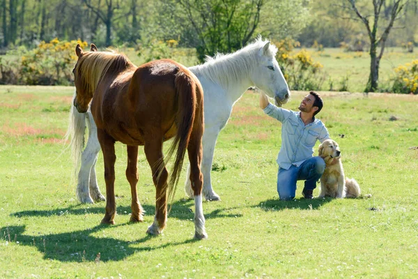 带着马和狗的人 — 图库照片