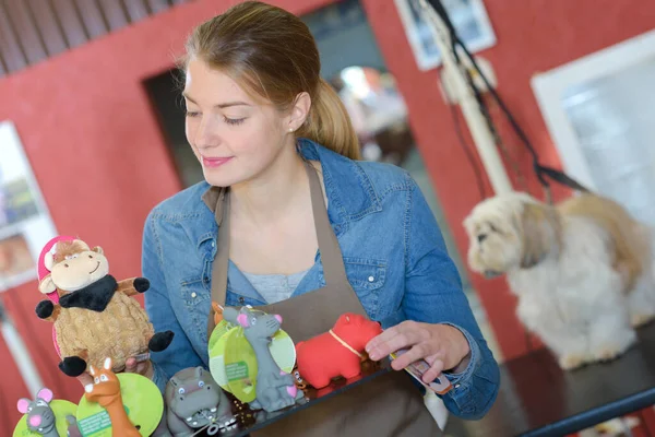 Senhora Exibindo Brinquedos Animais Salão Preparação Cães — Fotografia de Stock