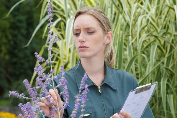 Mitarbeiter Einer Gärtnerei Inspiziert Die Blumen — Stockfoto