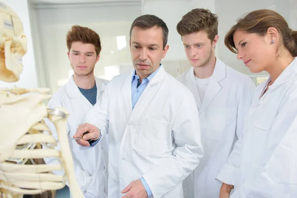 Student Leraar Medische Klas Skelet — Stockfoto