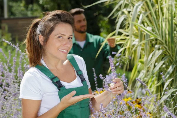 Жінка Садівництво Відкритому Повітрі Посміхається — стокове фото