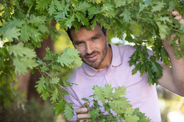 Muž Řezání Listí Zahradě — Stock fotografie