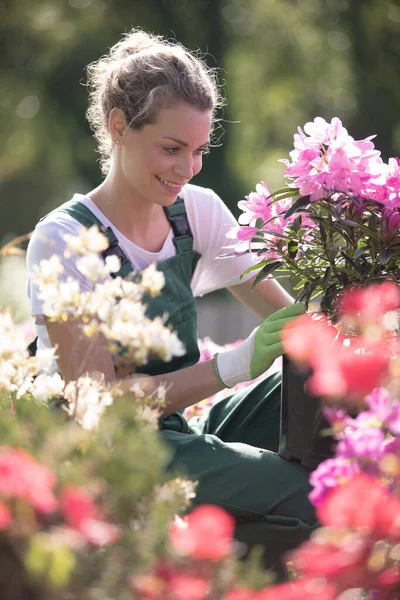 Blumenladen Verkäufer Arbeitet Mit Blumen — Stockfoto