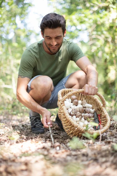 森でキノコを摘む男 — ストック写真