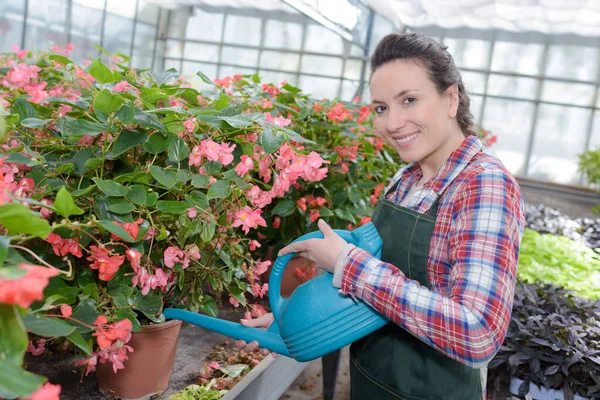 Jardinero Regar Flores Mujer —  Fotos de Stock