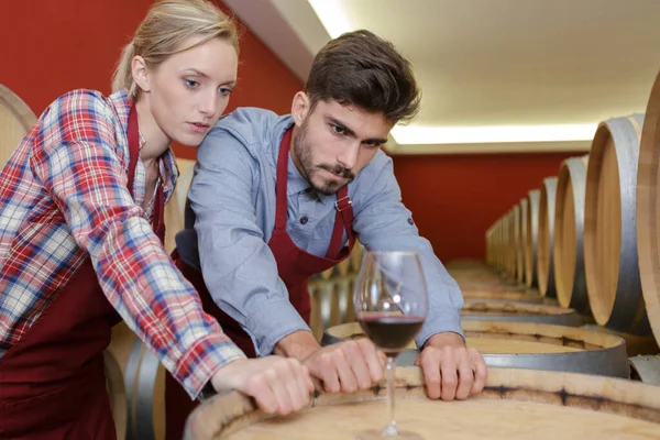 Two Wine Cellar Workers — Stock Photo, Image