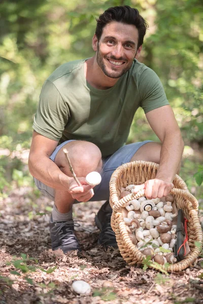 Young Man Picking Mushrooms Forest — Stock Photo, Image