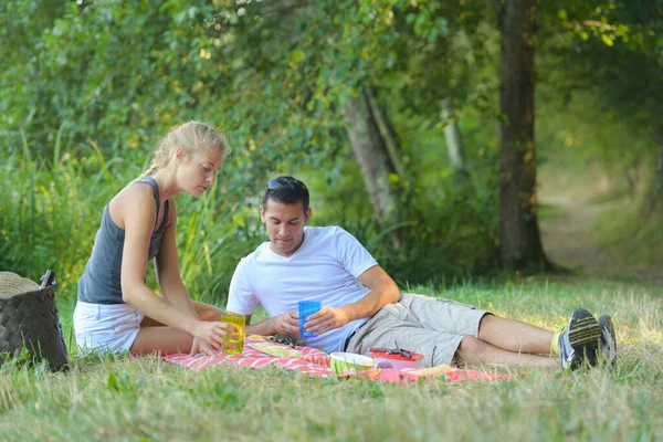 Çiftler Otlakta Piknik Yapıyor — Stok fotoğraf
