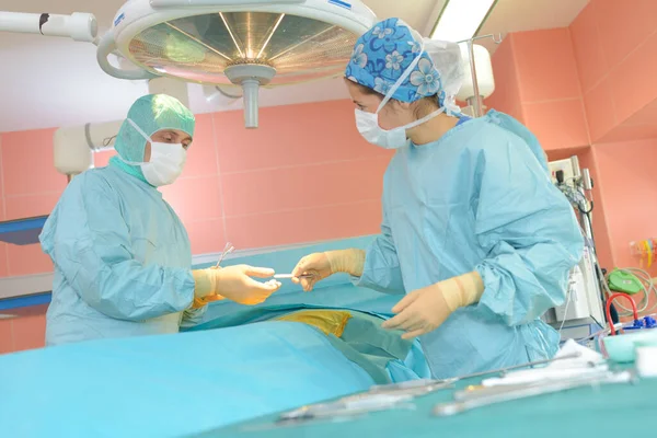 수술실에서 외과의사에게 기구를 전달하다 — 스톡 사진