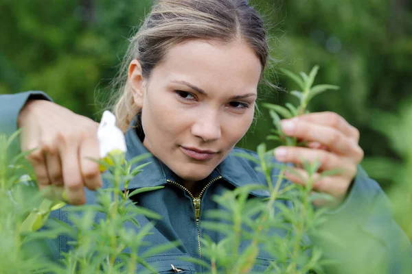Portrét Ženy Zahradničení — Stock fotografie