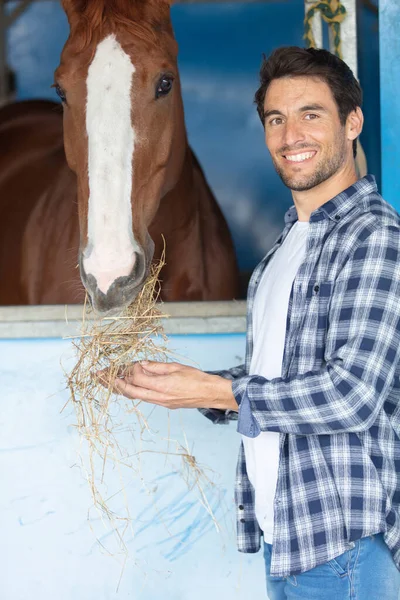 Cowboy Füttert Pferd Aus Der Hand — Stockfoto