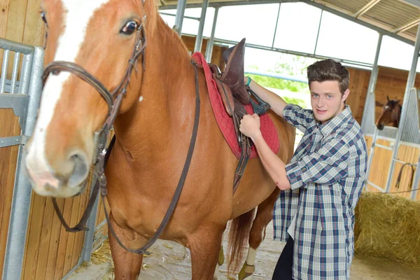 带着马的年轻人 — 图库照片