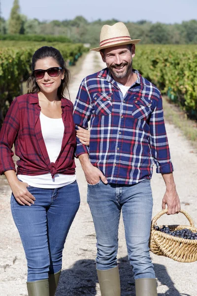 Paar Einem Weinberg Mit Einem Korb Trauben — Stockfoto