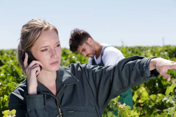 在葡萄园里用手机交谈的女葡萄酒商 — 图库照片