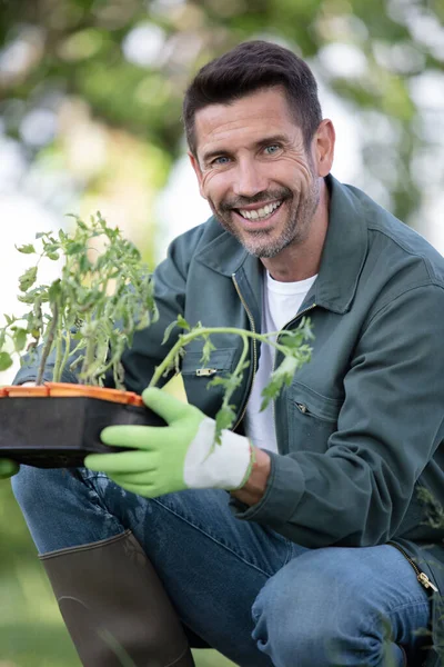 ガーデンセンターで働く男が植物を持ち — ストック写真