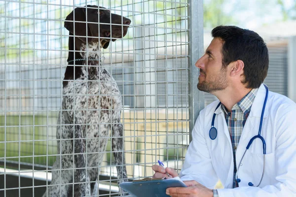 兽医与狗的肖像 — 图库照片