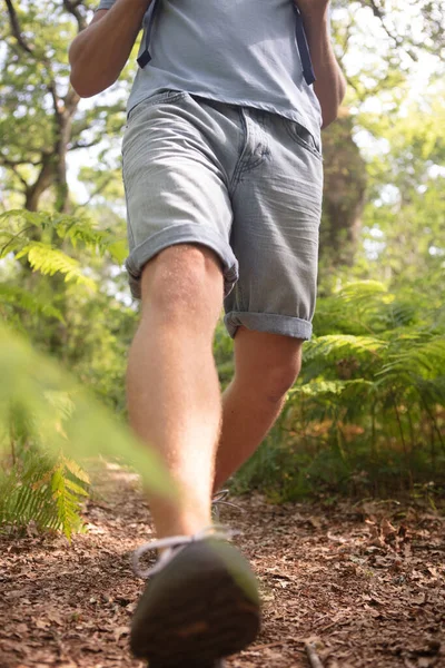 Erkek Ormanda Yürüyüş Yapıyor — Stok fotoğraf