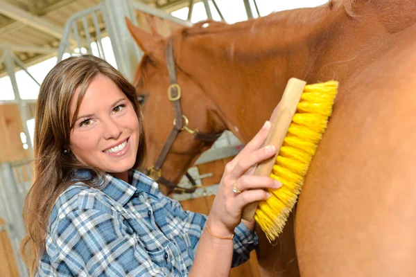 Szczęśliwa Kobieta Pielęgnuje Konia — Zdjęcie stockowe