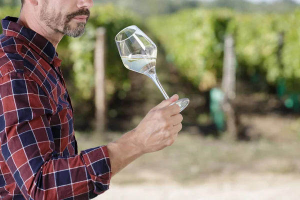 晴れた日に畑でワインを飲む男性 — ストック写真