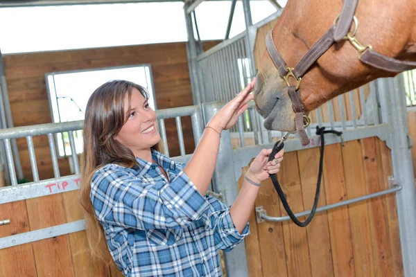 Ευτυχισμένη Γυναίκα Που Φροντίζει Ένα Άλογο — Φωτογραφία Αρχείου