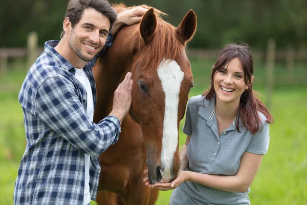 馬の隣にいる若い観光客のカップルは — ストック写真