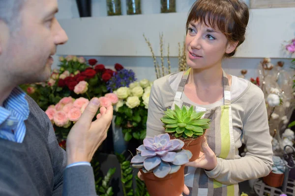 Blomsterhandlare Med Saftig Växt — Stockfoto