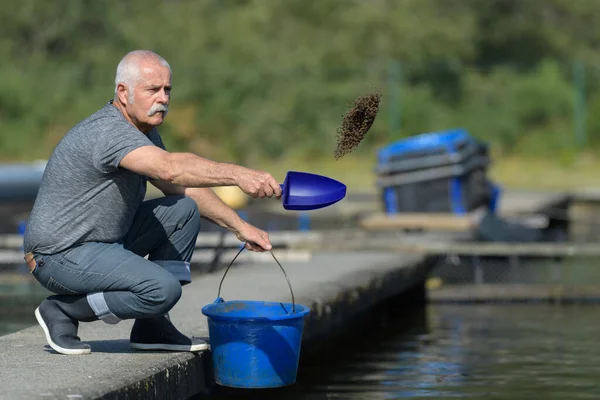 Senior Man Feeding Fishes — Stock Photo, Image
