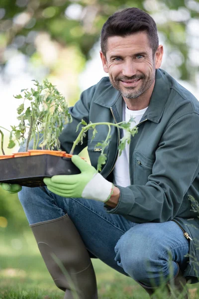 Hombre Trabajando Centro Jardinería Sosteniendo Planta Maceta — Foto de Stock