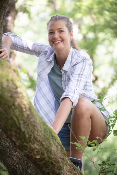 Frau Klettert Über Baum — Stockfoto