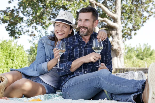 Çiftler Piknik Yapıyor Ellerinde Beyaz Şarap Bardakları Tutuyorlar — Stok fotoğraf
