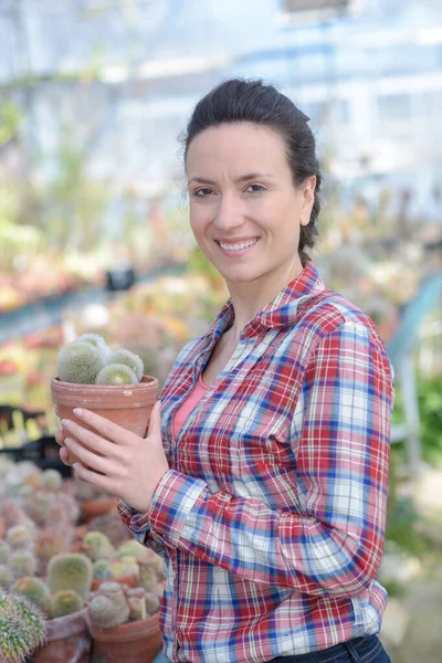 Portrait Woman Garden Center Holding Cactus Plant — Stock Photo, Image