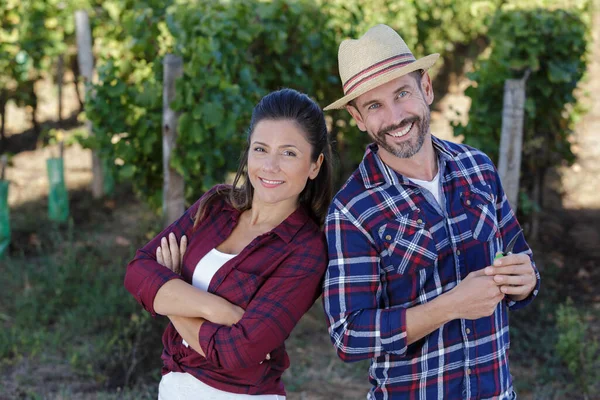 happy couple of wine growers walking in vine rows