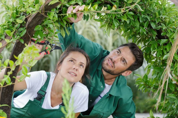 Man Woman Gardeners Aprons Outdoors — Stockfoto