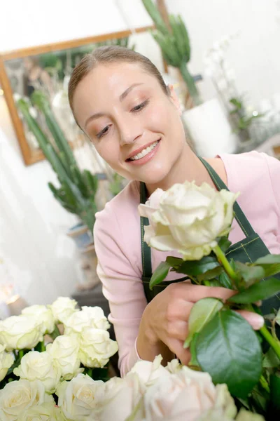 Florist White Rose — Stock Photo, Image