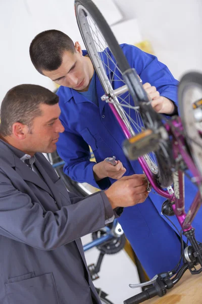 two mechanics fixing town bicycle in a workshop