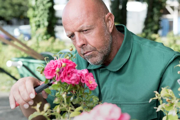 Portrait Mature Man Gardening — стоковое фото