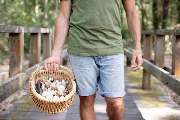 Man Holds Basket Full Mushrooms — Stock Photo, Image